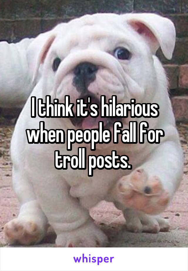 I think it's hilarious when people fall for troll posts. 