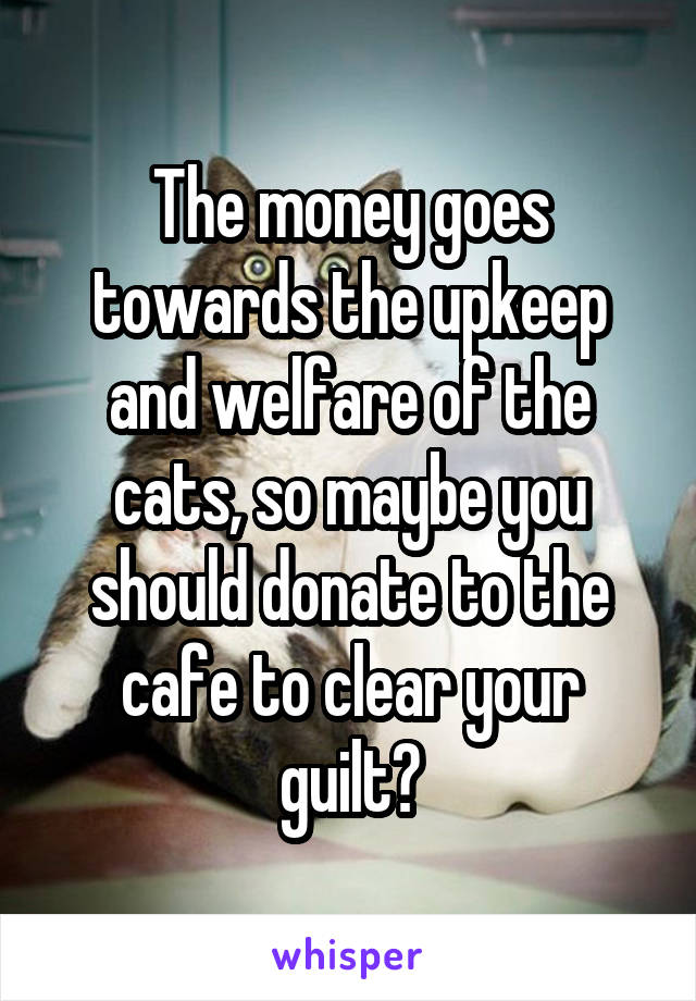 The money goes towards the upkeep and welfare of the cats, so maybe you should donate to the cafe to clear your guilt?