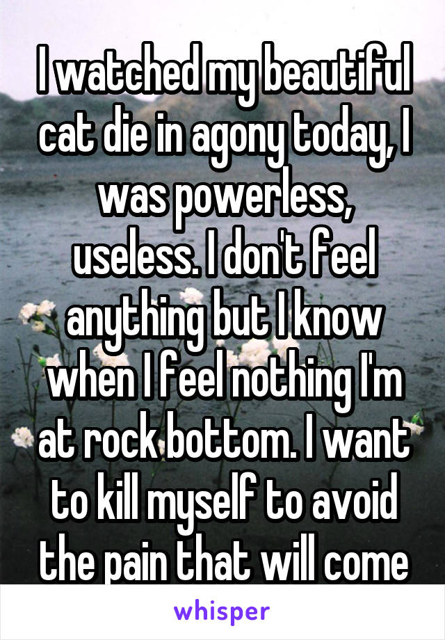 I watched my beautiful cat die in agony today, I was powerless, useless. I don't feel anything but I know when I feel nothing I'm at rock bottom. I want to kill myself to avoid the pain that will come