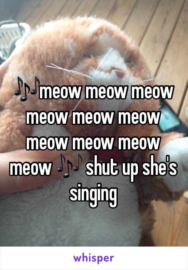 🎶meow meow meow meow meow meow meow meow meow meow 🎶 shut up she's singing 