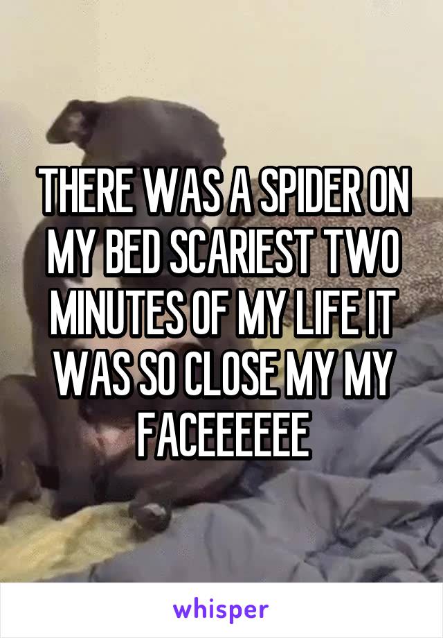 THERE WAS A SPIDER ON MY BED SCARIEST TWO MINUTES OF MY LIFE IT WAS SO CLOSE MY MY FACEEEEEE