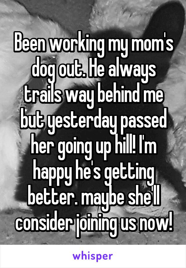 Been working my mom's dog out. He always trails way behind me but yesterday passed her going up hill! I'm happy he's getting better. maybe she'll consider joining us now!