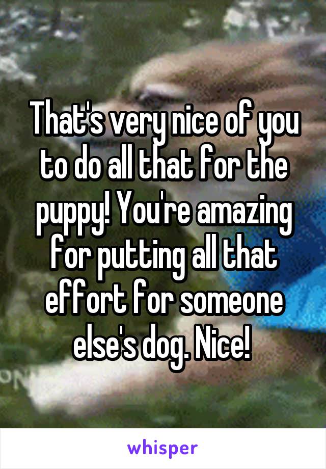 That's very nice of you to do all that for the puppy! You're amazing for putting all that effort for someone else's dog. Nice! 