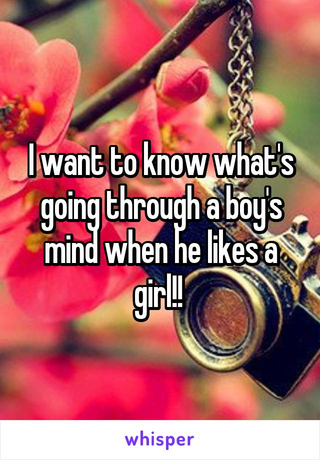 I want to know what's going through a boy's mind when he likes a girl!! 