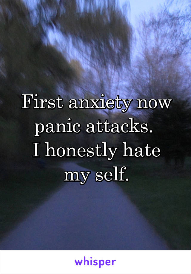 First anxiety now panic attacks. 
I honestly hate my self.