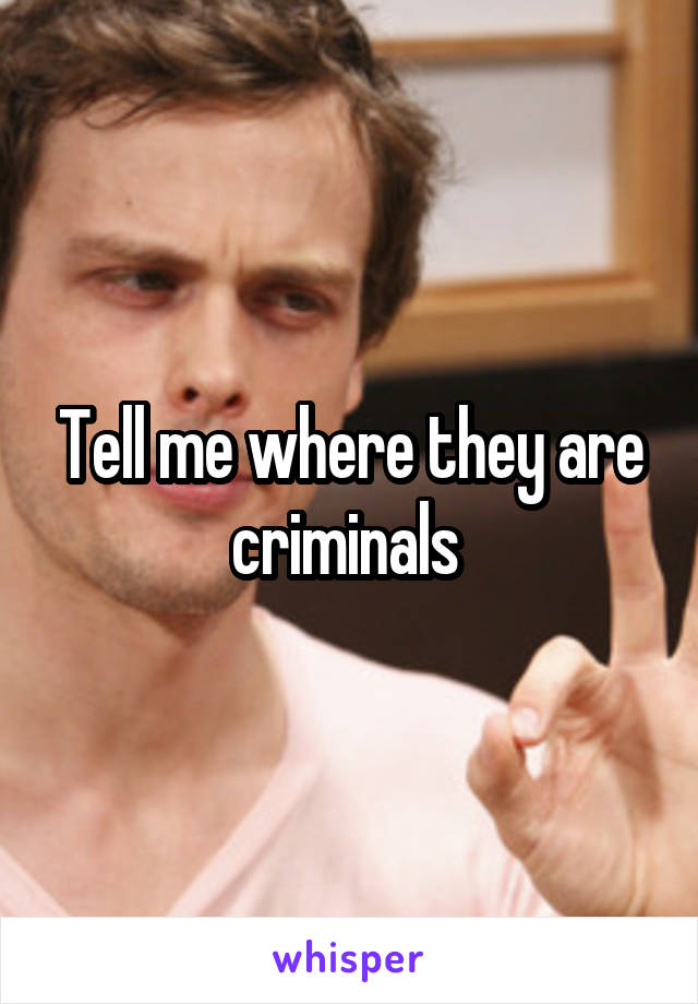 Tell me where they are criminals 