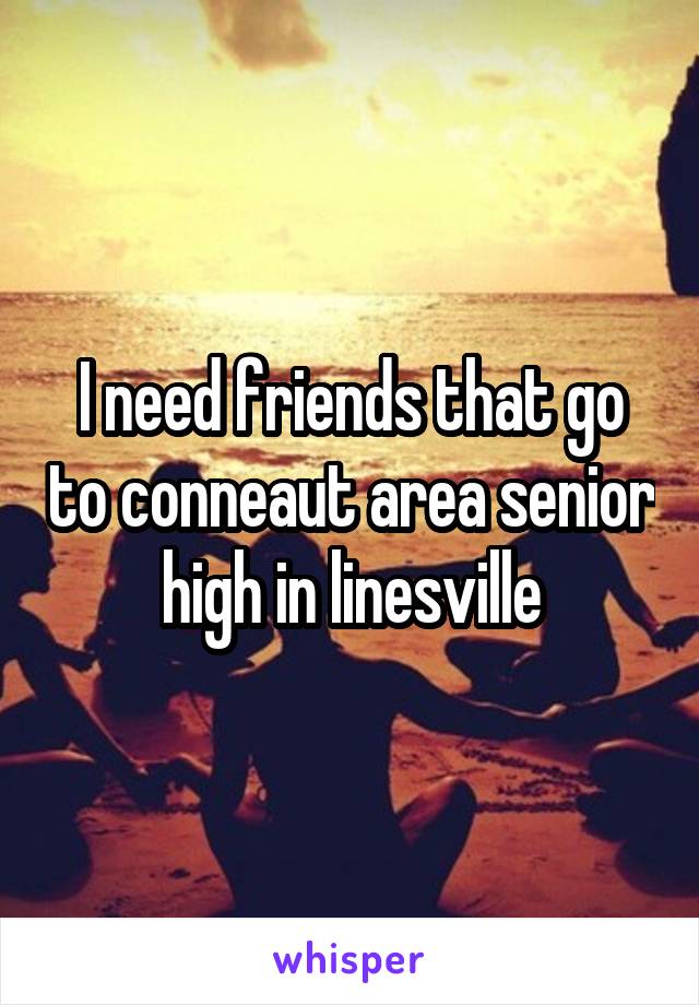 I need friends that go to conneaut area senior high in linesville