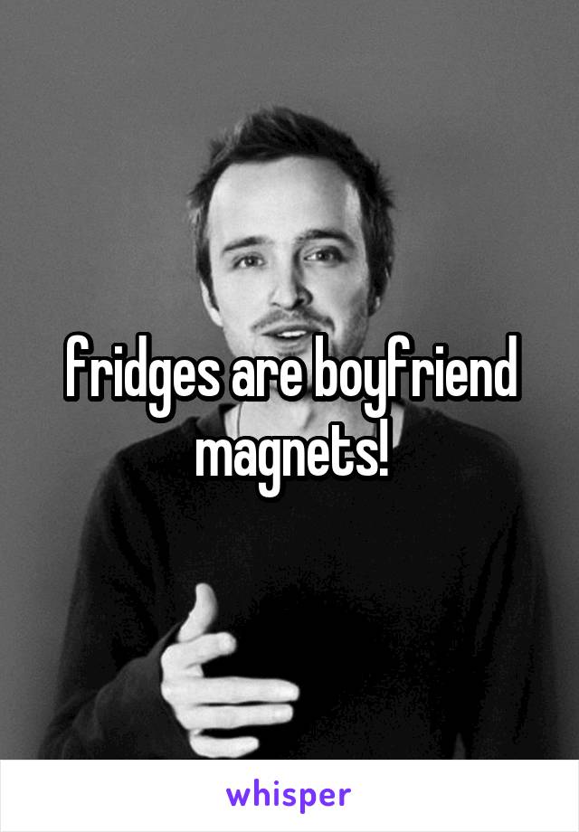 fridges are boyfriend magnets!