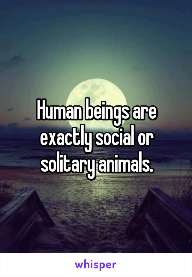 Human beings are exactly social or solitary animals.