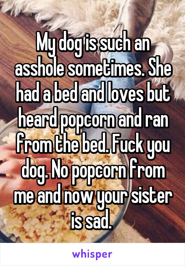 My dog is such an asshole sometimes. She had a bed and loves but heard popcorn and ran from the bed. Fuck you dog. No popcorn from me and now your sister is sad. 