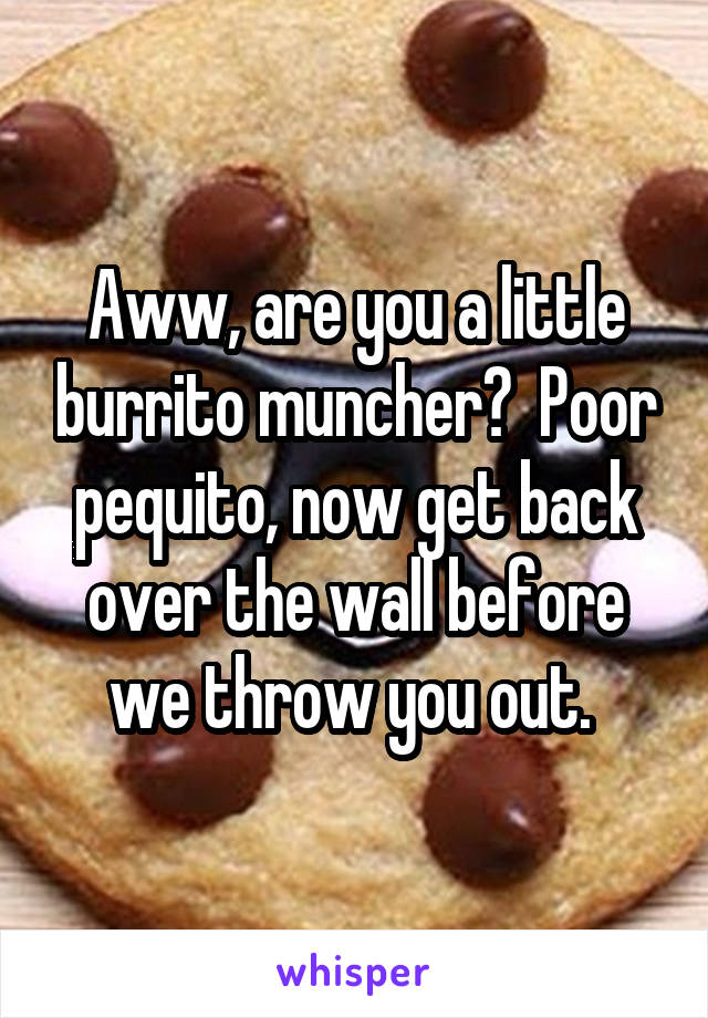 Aww, are you a little burrito muncher?  Poor pequito, now get back over the wall before we throw you out. 