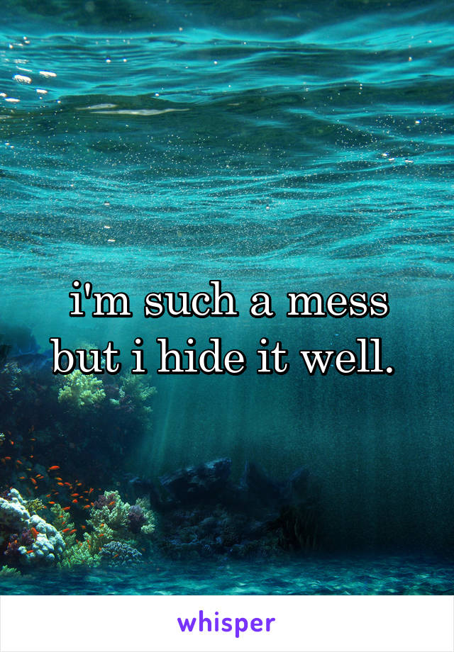 i'm such a mess but i hide it well. 