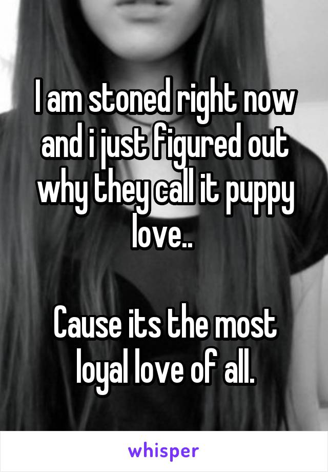 I am stoned right now and i just figured out why they call it puppy love.. 

Cause its the most loyal love of all.