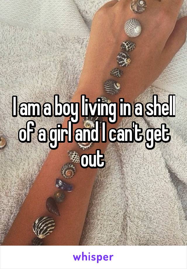 I am a boy living in a shell of a girl and I can't get out 