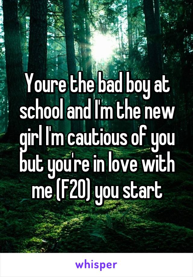 Youre the bad boy at school and I'm the new girl I'm cautious of you but you're in love with me (F20) you start