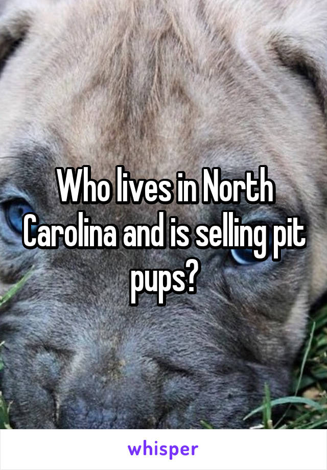 Who lives in North Carolina and is selling pit pups?