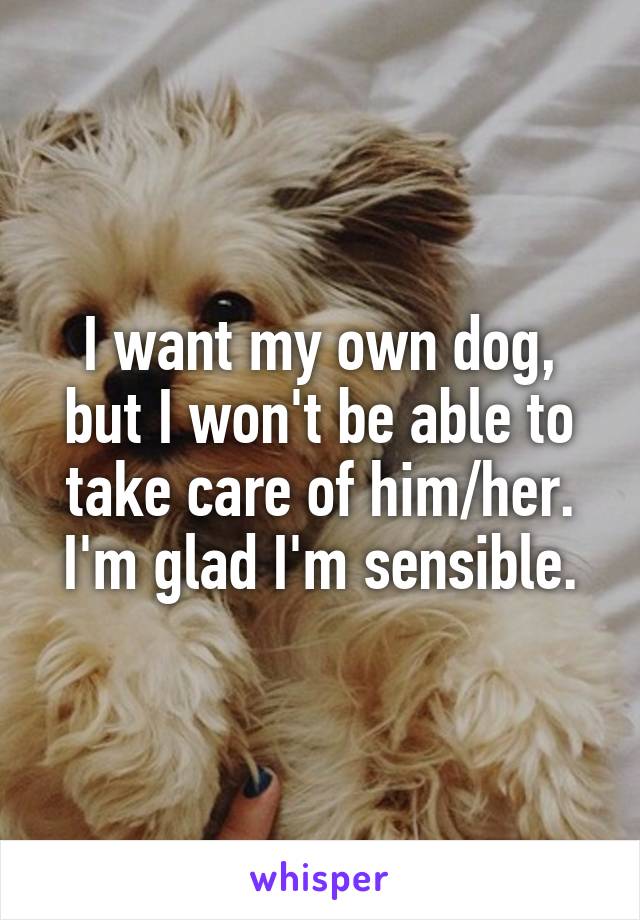 I want my own dog, but I won't be able to take care of him/her. I'm glad I'm sensible.