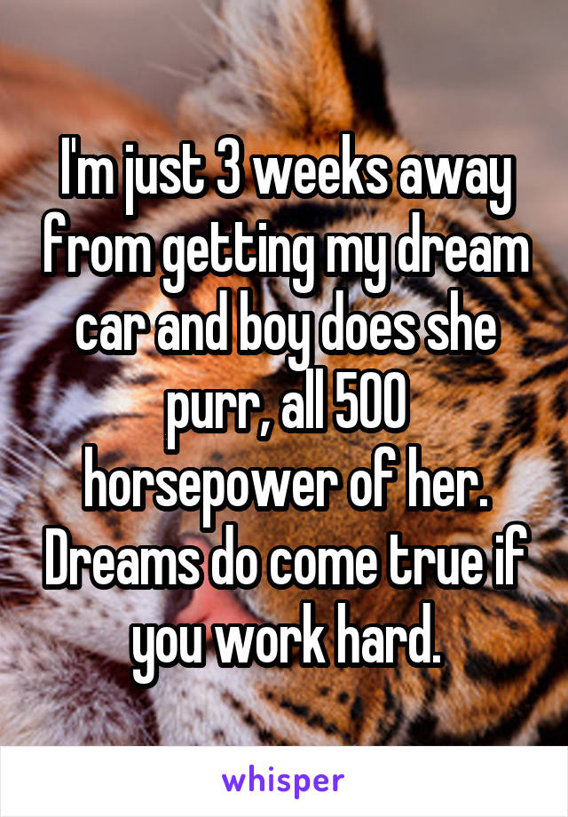 I'm just 3 weeks away from getting my dream car and boy does she purr, all 500 horsepower of her. Dreams do come true if you work hard.