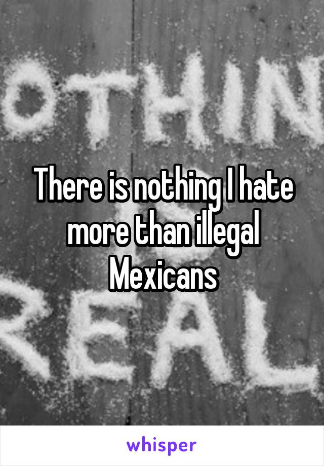 There is nothing I hate more than illegal Mexicans