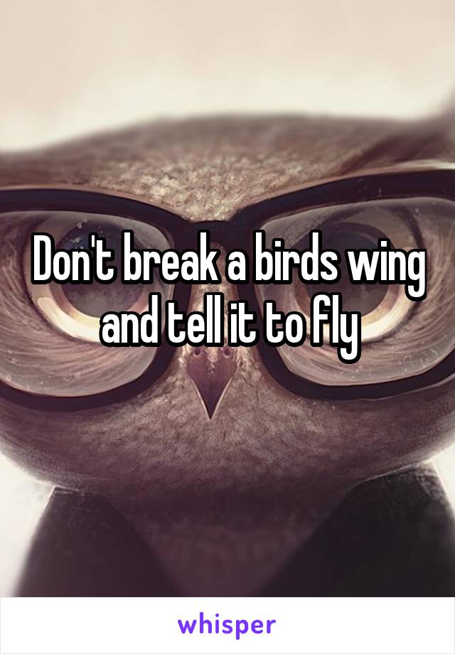 Don't break a birds wing and tell it to fly
