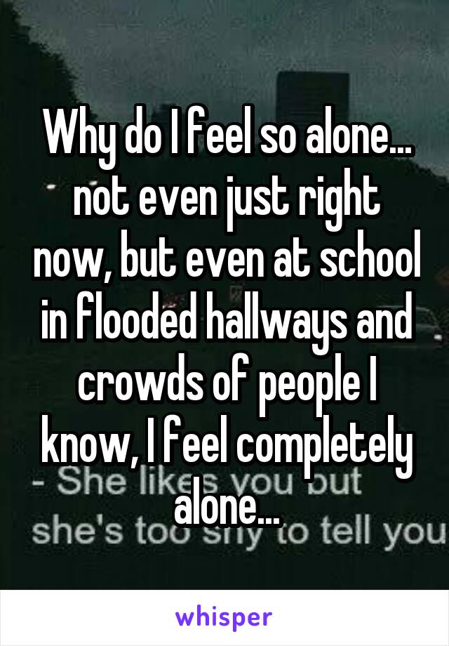 Why do I feel so alone... not even just right now, but even at school in flooded hallways and crowds of people I know, I feel completely alone...