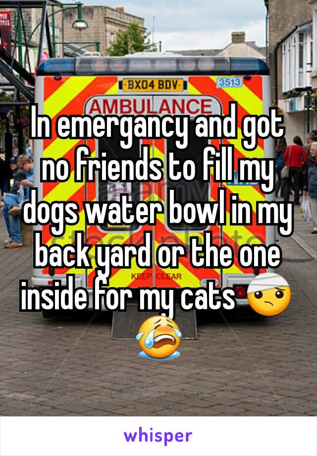 In emergancy and got no friends to fill my dogs water bowl in my back yard or the one inside for my cats 🤕😭