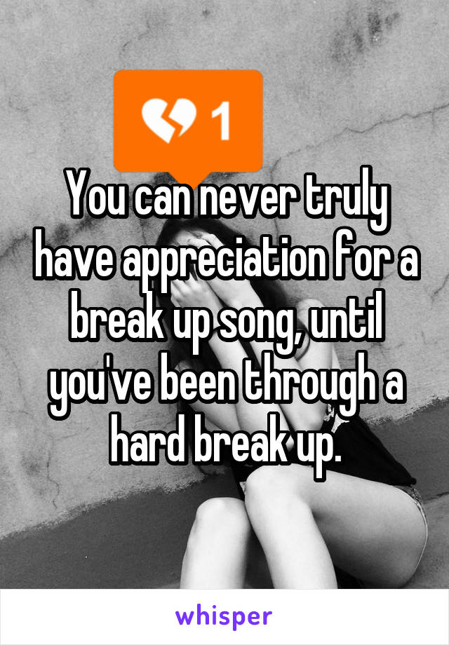 You can never truly have appreciation for a break up song, until you've been through a hard break up.