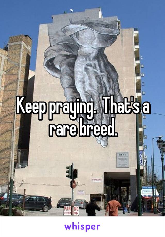 Keep praying.  That's a rare breed.