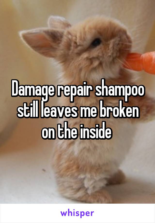 Damage repair shampoo still leaves me broken on the inside 