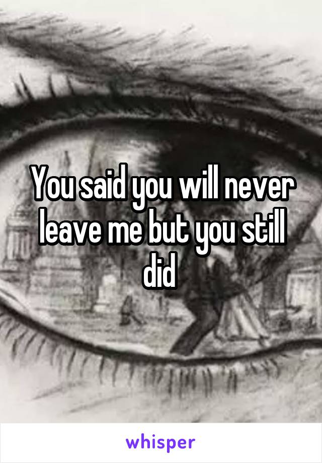 You said you will never leave me but you still did 