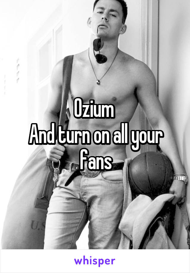 Ozium 
And turn on all your fans