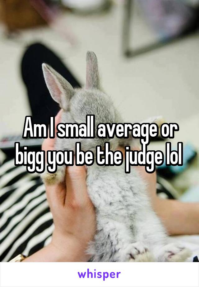 Am I small average or bigg you be the judge lol 