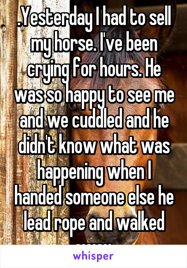 .Yesterday I had to sell my horse. I've been crying for hours. He was so happy to see me and we cuddled and he didn't know what was happening when I handed someone else he lead rope and walked away.