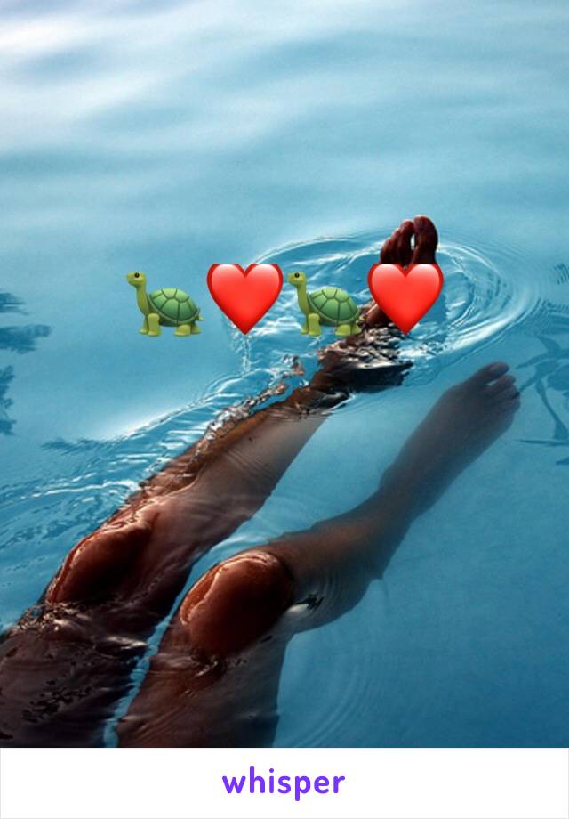 🐢❤️🐢❤️