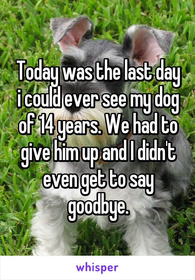 Today was the last day i could ever see my dog of 14 years. We had to give him up and I didn't even get to say goodbye.