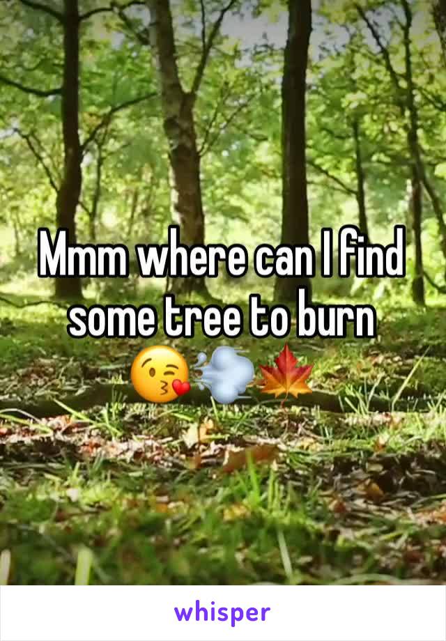 Mmm where can I find some tree to burn 
😘💨🍁