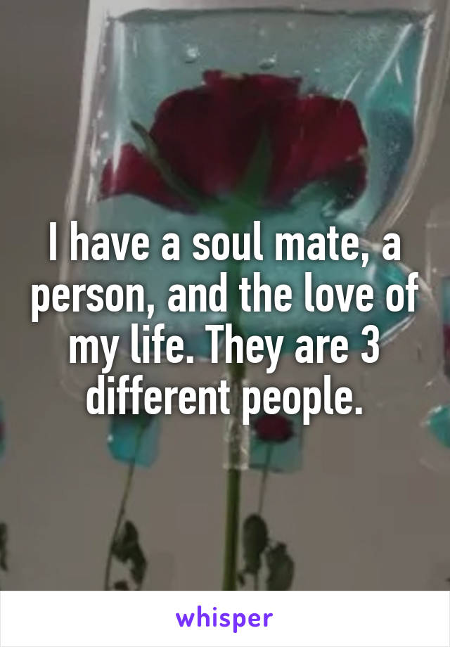 I have a soul mate, a person, and the love of my life. They are 3 different people.