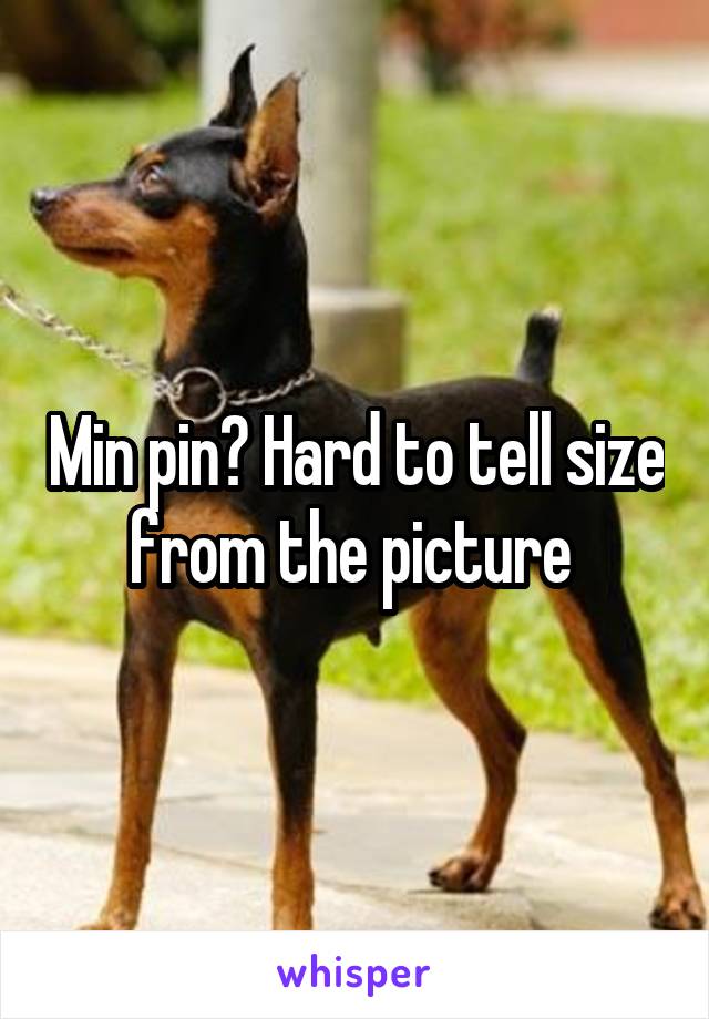 Min pin? Hard to tell size from the picture 