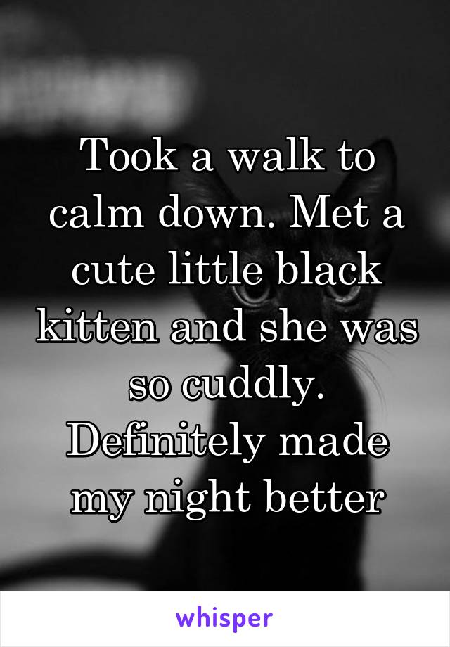 Took a walk to calm down. Met a cute little black kitten and she was so cuddly. Definitely made my night better