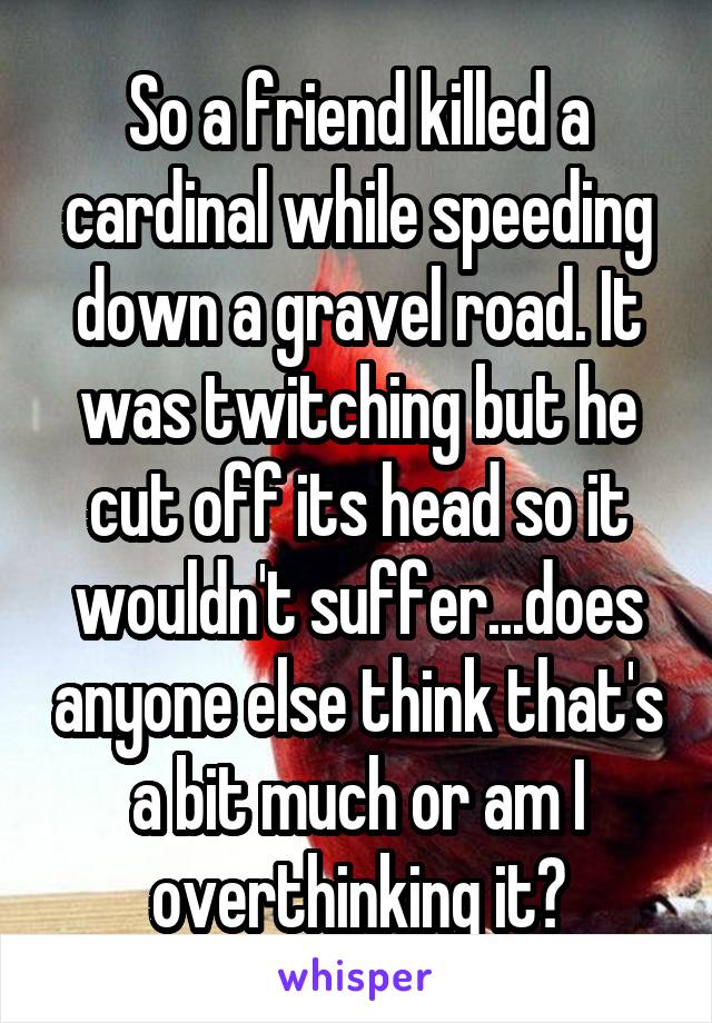 So a friend killed a cardinal while speeding down a gravel road. It was twitching but he cut off its head so it wouldn't suffer...does anyone else think that's a bit much or am I overthinking it?