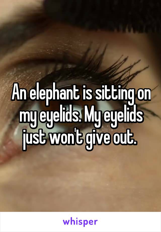 An elephant is sitting on my eyelids. My eyelids just won't give out. 