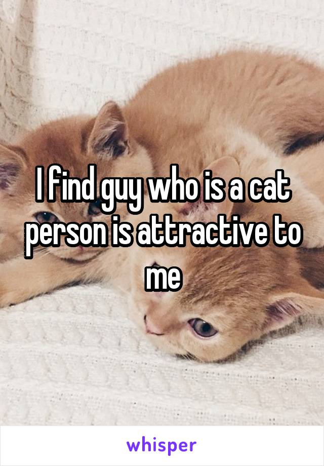 I find guy who is a cat person is attractive to me