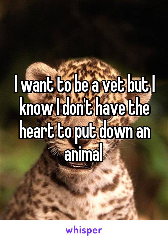 I want to be a vet but I know I don't have the heart to put down an animal 