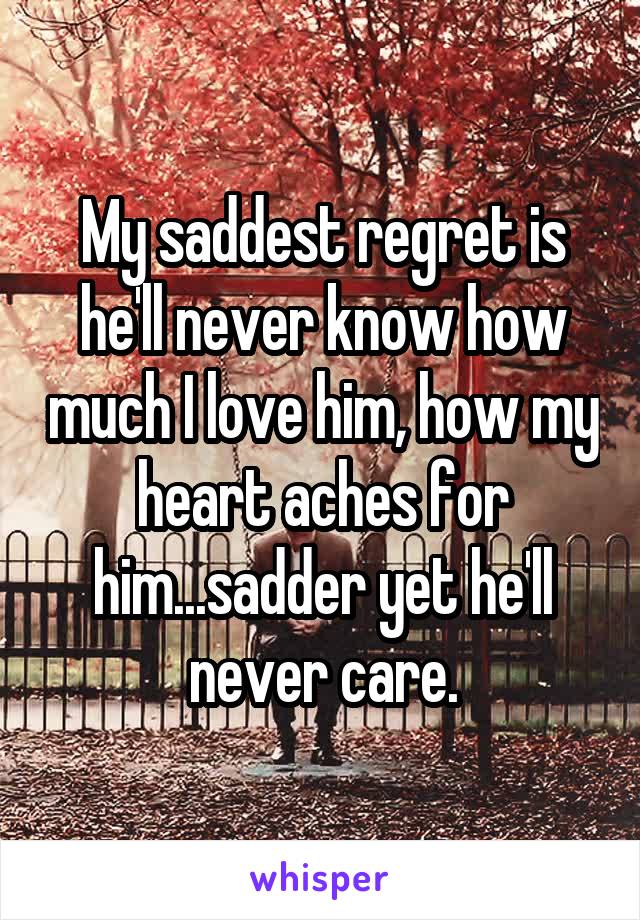 My saddest regret is he'll never know how much I love him, how my heart aches for him...sadder yet he'll never care.