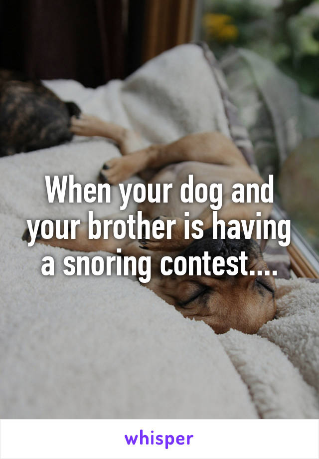 When your dog and your brother is having a snoring contest....