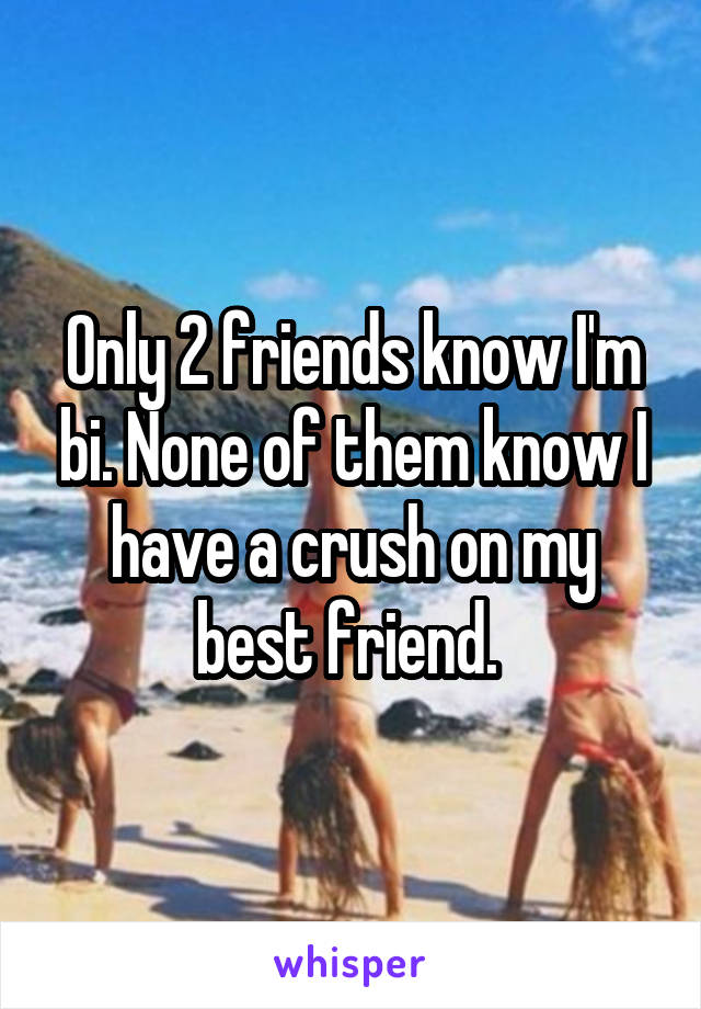 Only 2 friends know I'm bi. None of them know I have a crush on my best friend. 