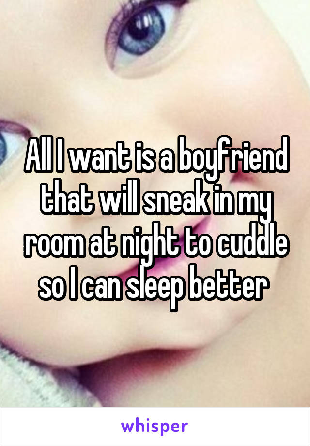 All I want is a boyfriend that will sneak in my room at night to cuddle so I can sleep better 