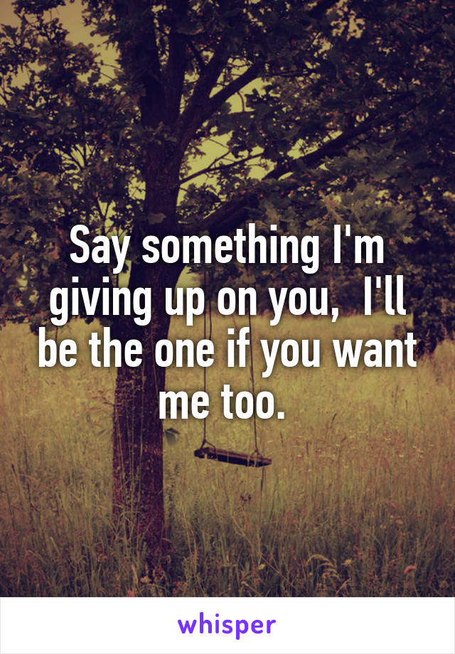 Say something I'm giving up on you,  I'll be the one if you want me too. 