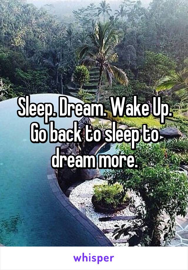 Sleep. Dream. Wake Up. Go back to sleep to dream more.