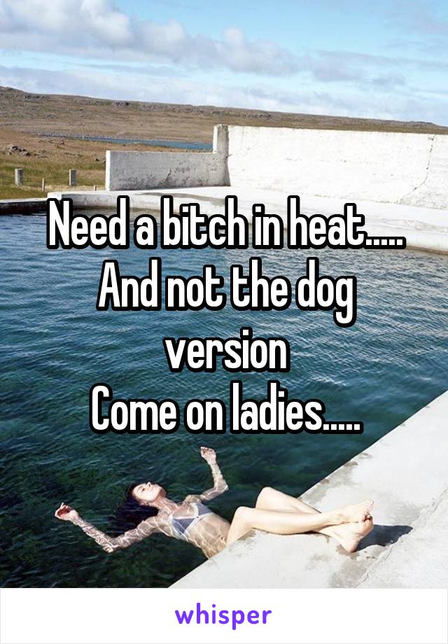 Need a bitch in heat.....
And not the dog version
Come on ladies.....